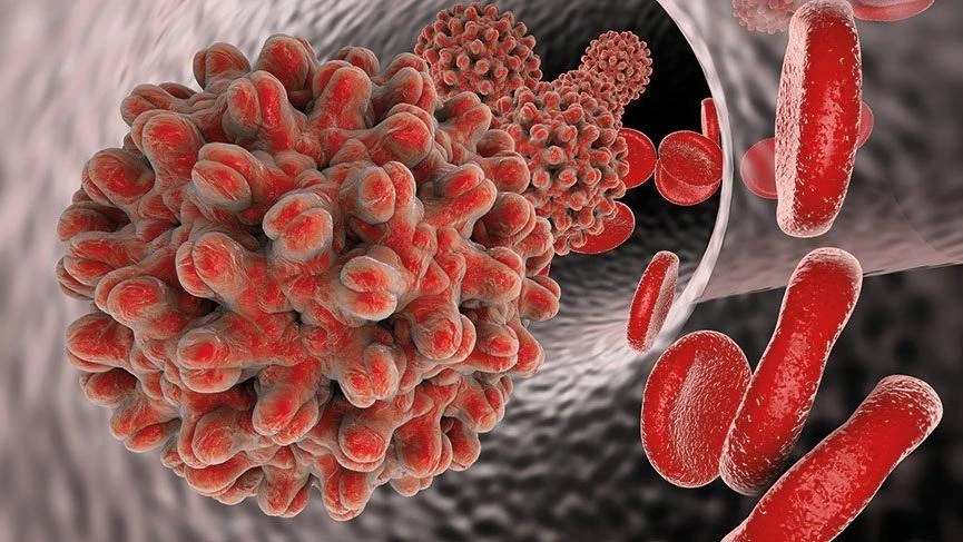 Erkeklerde Cinsel Yolla Bulaşan Hastalıklar Nelerdir? Klamidya Nedir? Klamidya Sadece Cinsel Yolla mı Bulaşır?